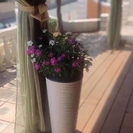 Pantheon Hall 2* Mesongí