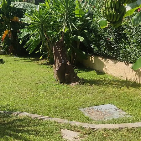 Pantheon Hall 2* Mesongí