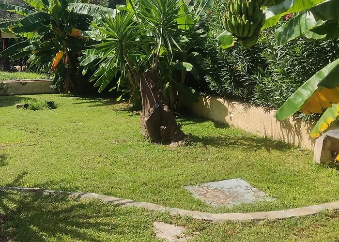 Pantheon Hall 2* Mesongí
