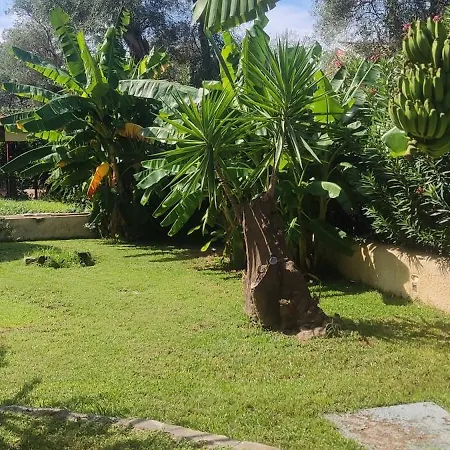 Pantheon Hall Mesongí