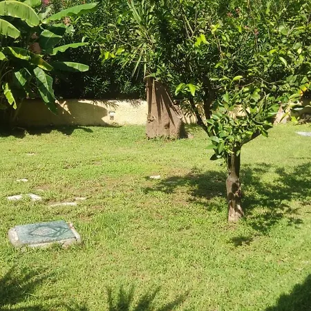 מלון Pantheon Hall